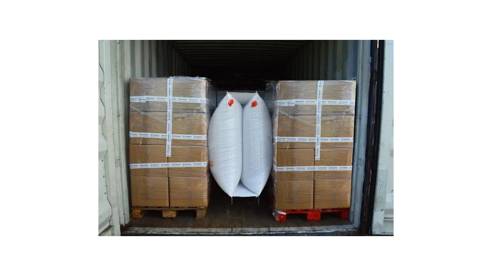 DOUBLE COUSSIN DE CALAGE POUR CONTENEUR DUAL ARGOBAG